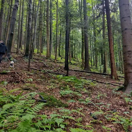 Mucharskie Stodoly Stodola Ii - Garden